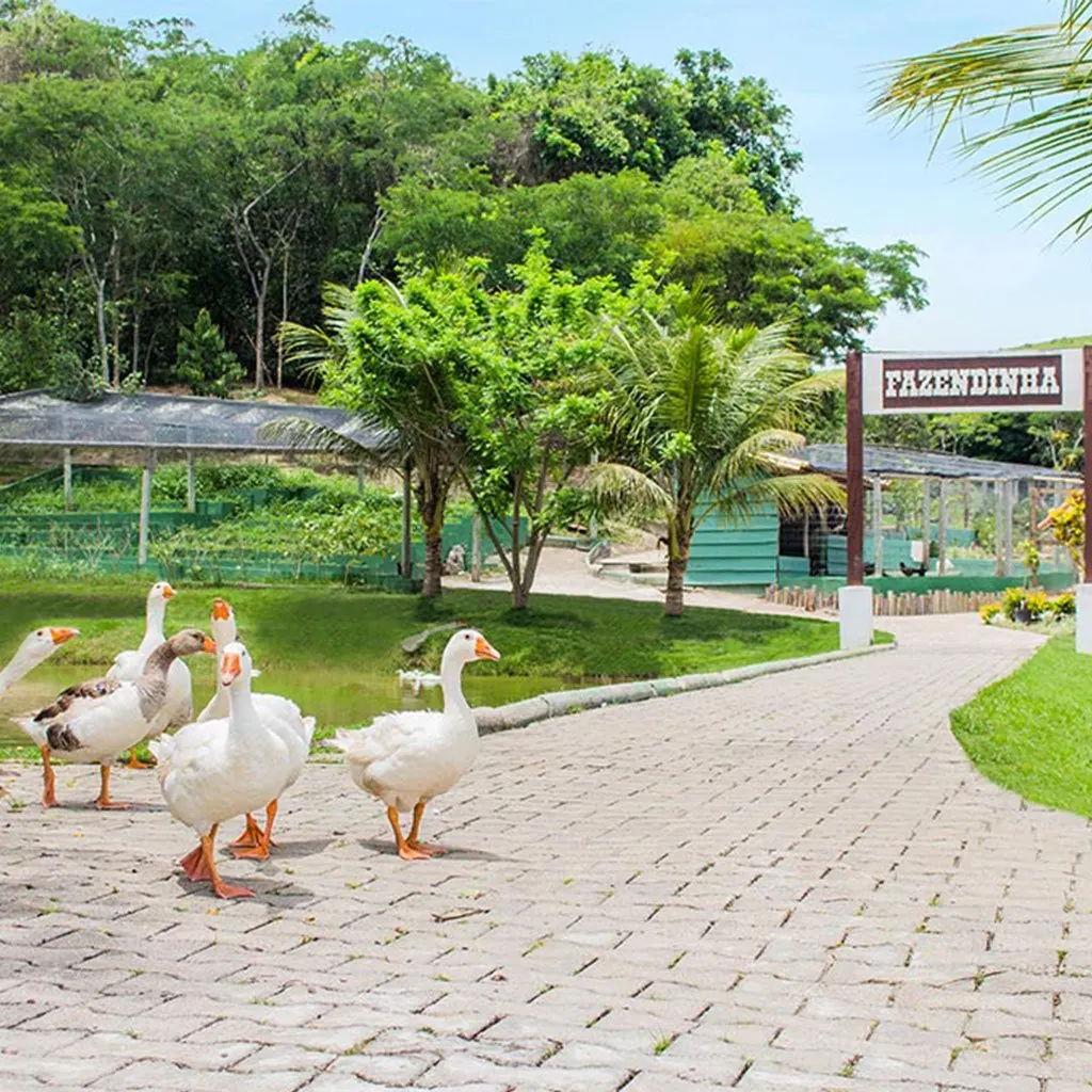 Fazendinha
